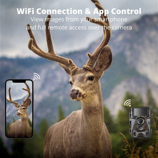 Infrared Dual Night Vision Hunting Trail Camera 4K Waterproof WIFI 48 MP Camera Home Security Camera