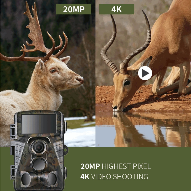 Infrared Dual Night Vision Hunting Trail Camera 4K Waterproof WIFI 48 MP Camera Home Security Camera