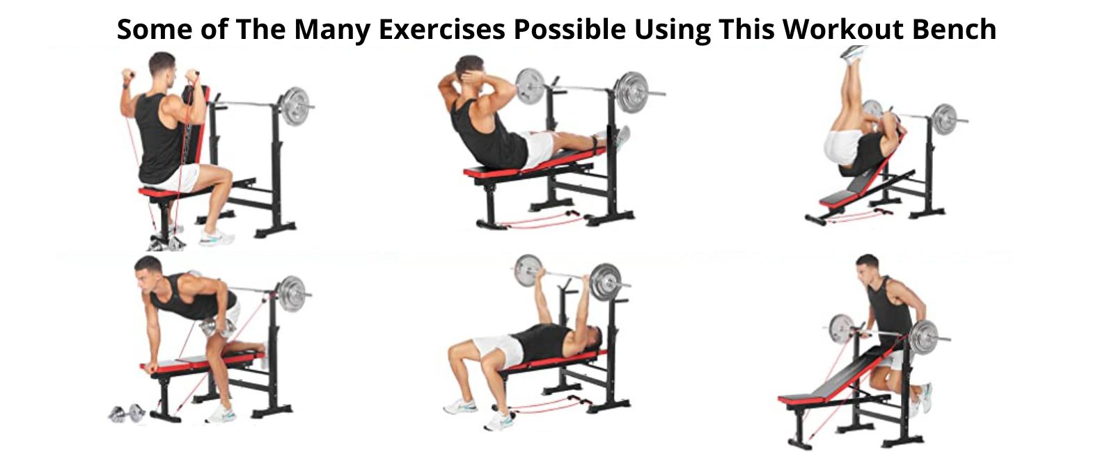 Gym & Fitness Benches