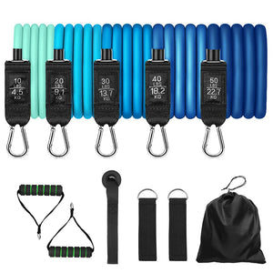 Resistance Bands 11 Piece Resistance Band Set Latex Bands With Carabiners Great For Home Workouts Fitness Training