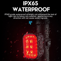 6 Leds Bright Bike Light Rechargeable 1100mAh Battery Waterproof With 12 mode Head light and 8 mode Tail Light