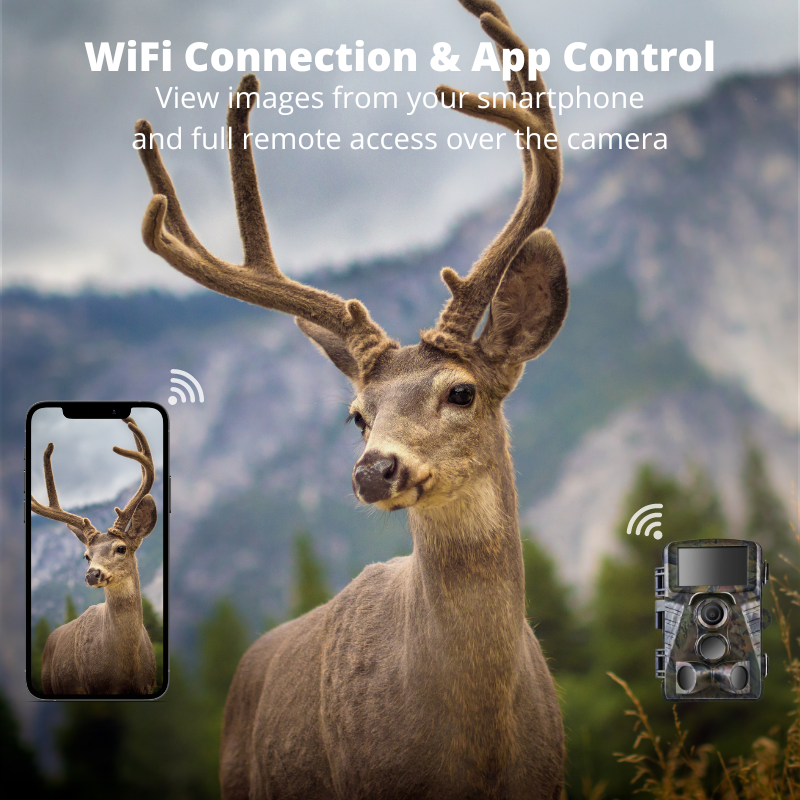 Infrared Dual Night Vision Hunting Trail Camera 4K Waterproof WIFI 48 MP Camera Home Security Camera